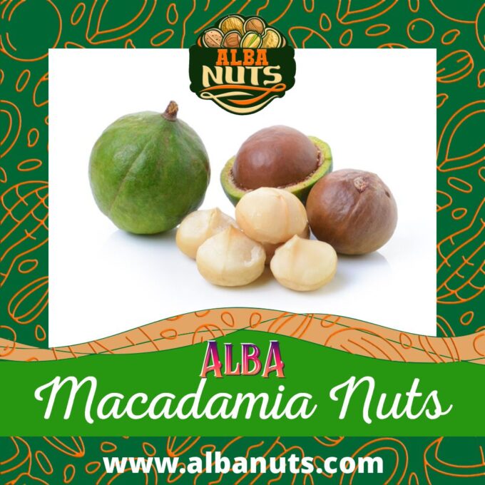 Macadamia Nuts